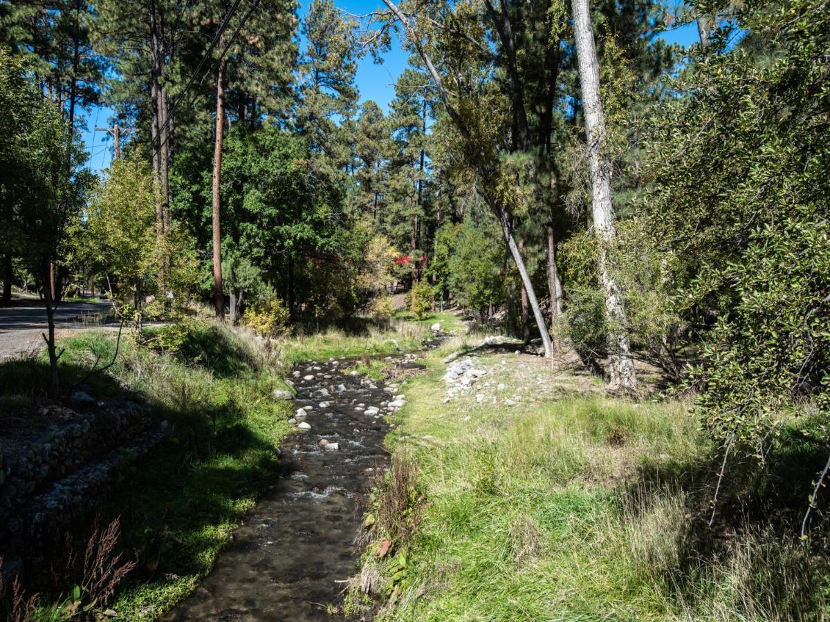 Apache Village 4, King Studio, Midtown, Sleeps 2 Ruidoso Ngoại thất bức ảnh